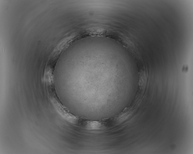 X0000111660287200907171618