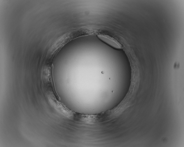 X0000111660288200907171618