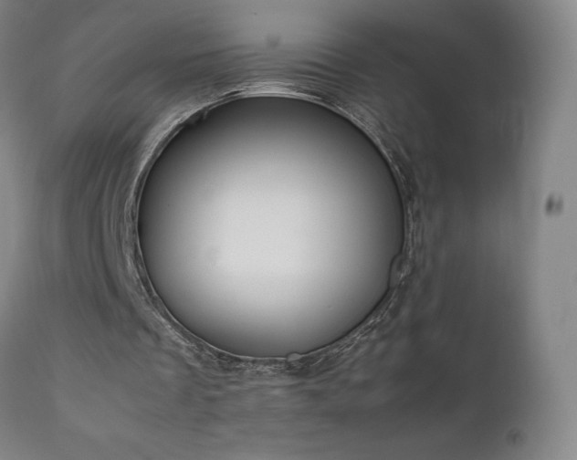 X0000111660289200907171617