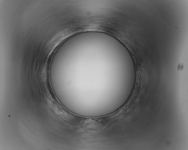 X0000111660290200907171617