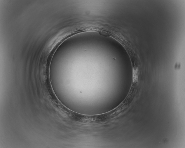X0000111660291200907171617