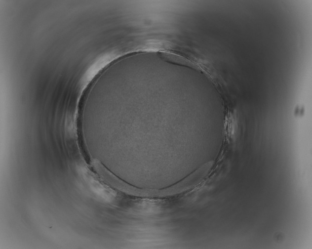 X0000111660292200907171617