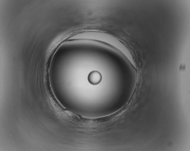 X0000111660293200907171617