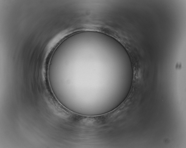 X0000111660294200907171617