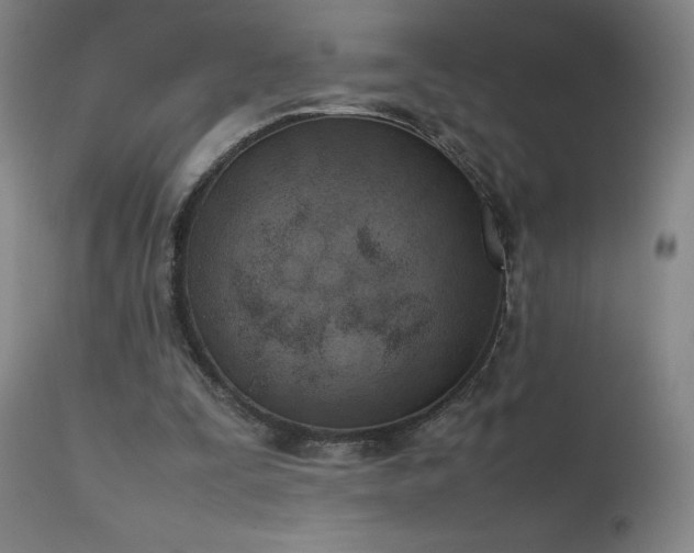 X0000111660295200907171617