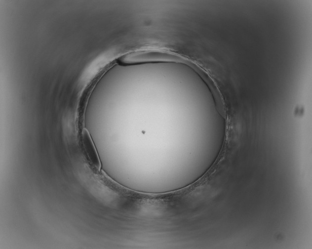 X0000111660296200907171617