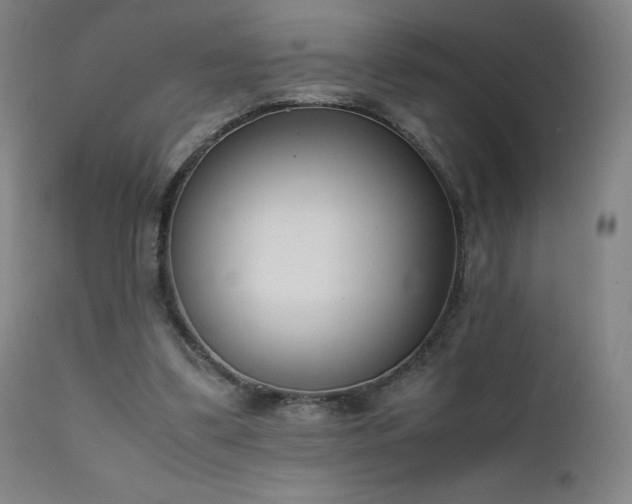 X0000111660299200907171617
