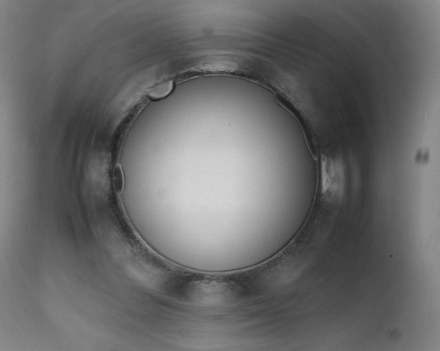 X0000111660300200907171617