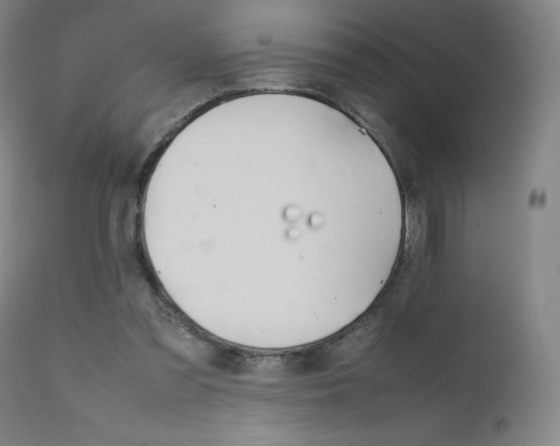 X0000111660301200907171617