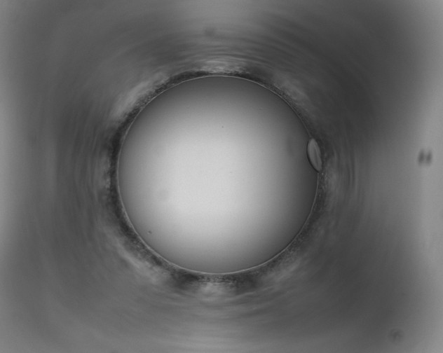 X0000111660303200907171617