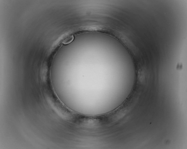 X0000111660304200907171617