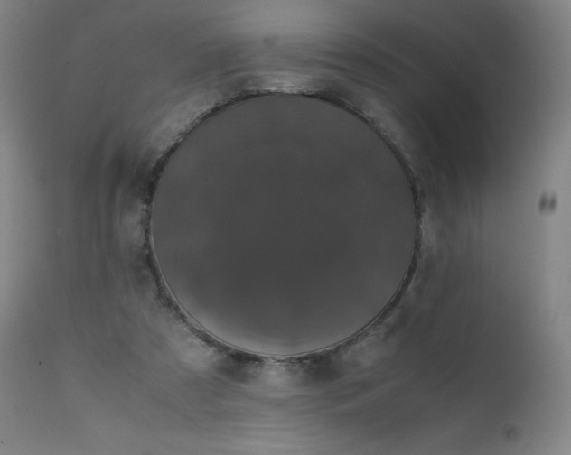 X0000111660305200907171617