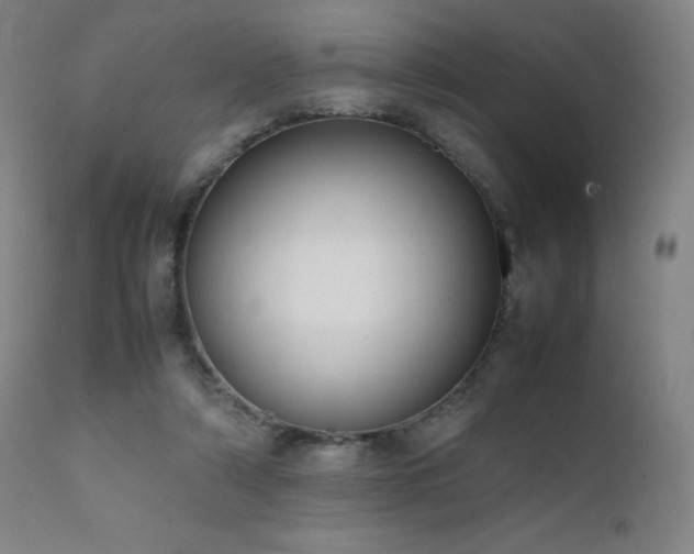 X0000111660306200907171616