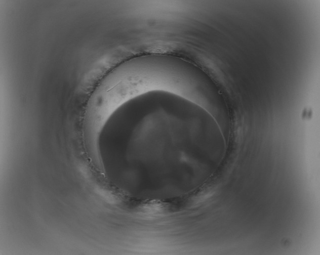 X0000111660307200907171616