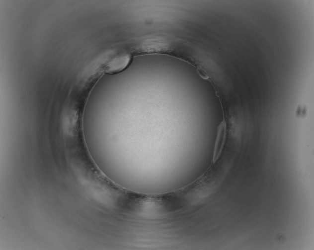 X0000111660308200907171616
