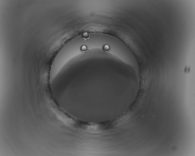 X0000111660309200907171616