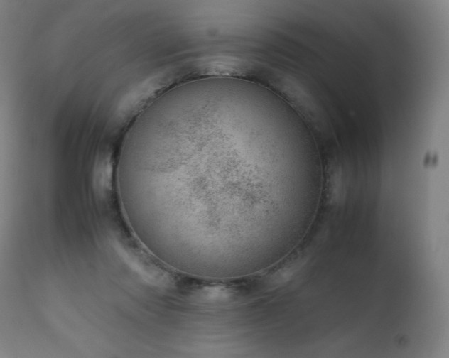 X0000111660310200907171616