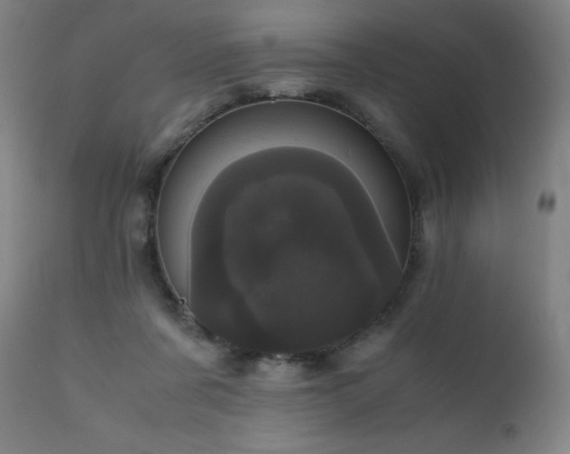 X0000111660311200907171616