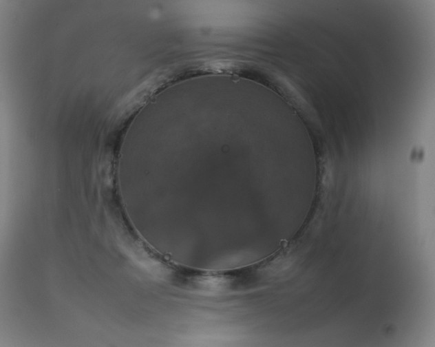 X0000111660313200907171616