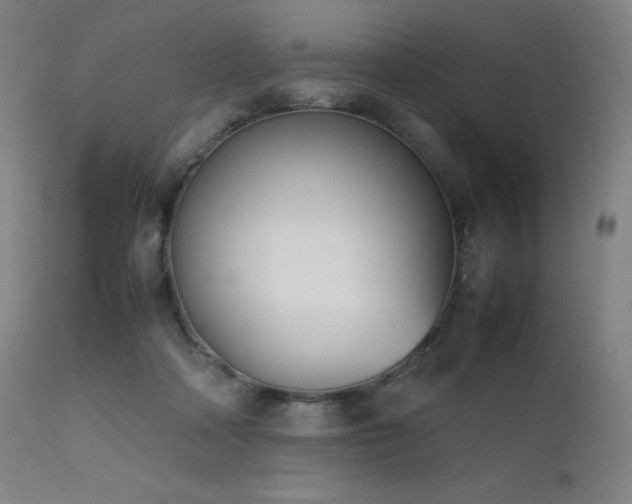 X0000111660314200907171616