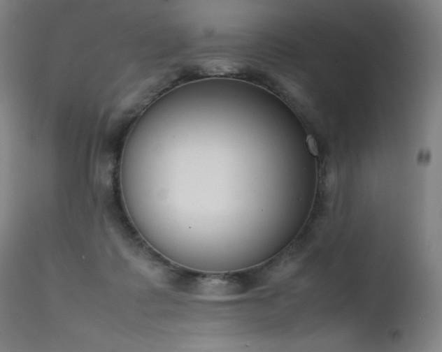 X0000111660315200907171616