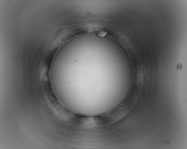 X0000111660316200907171616