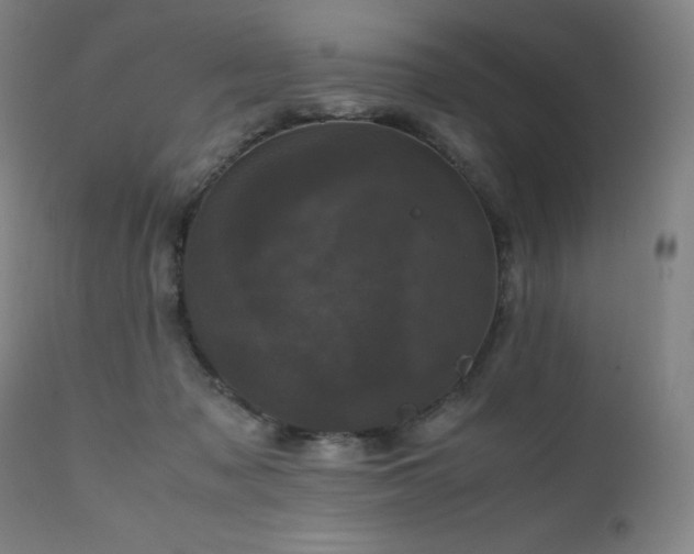 X0000111660317200907171616