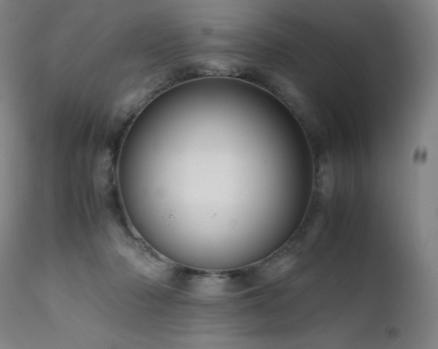 X0000111660318200907171616