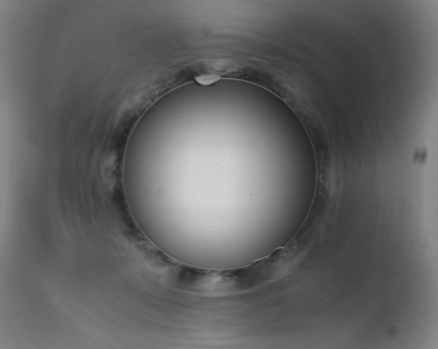 X0000111660319200907171616