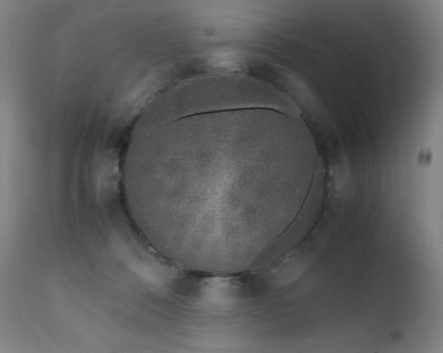 X0000111660320200907171616