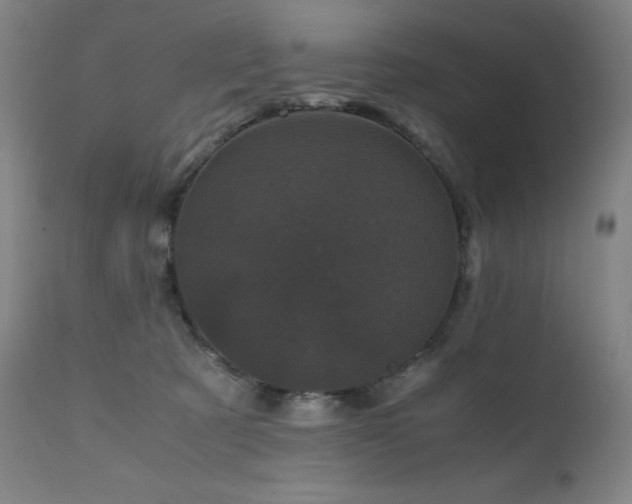 X0000111660321200907171616