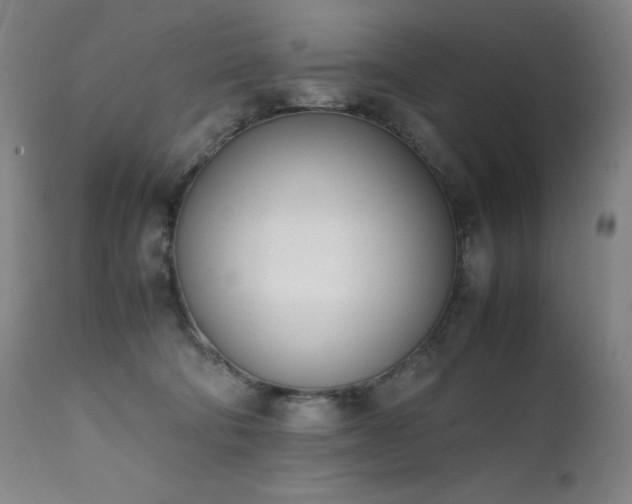 X0000111660322200907171616