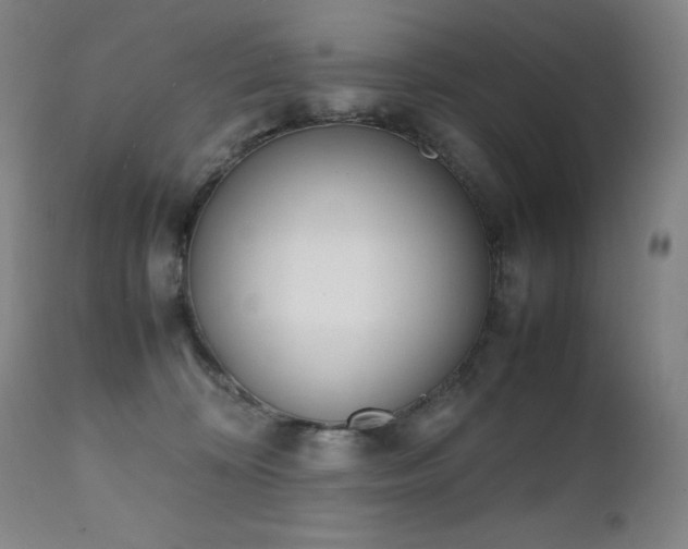 X0000111660324200907171616