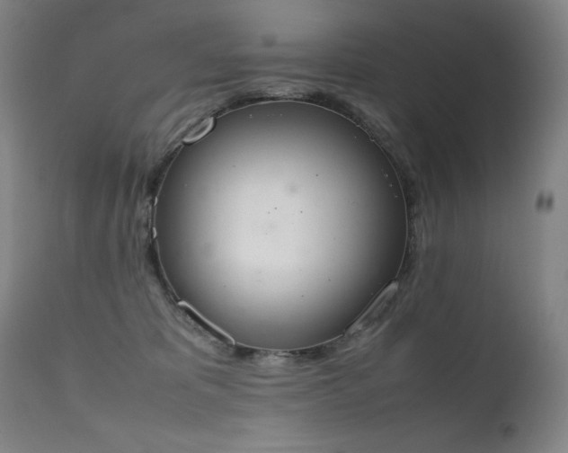 X0000111660325200907171616