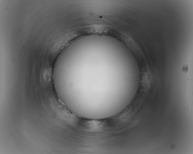 X0000111660326200907171616