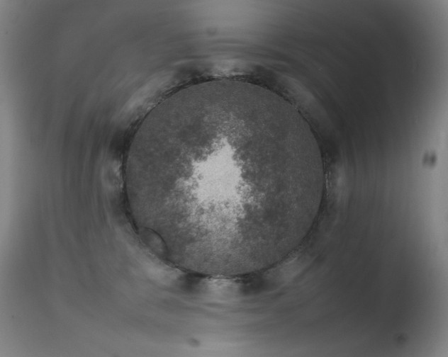 X0000111660327200907171616