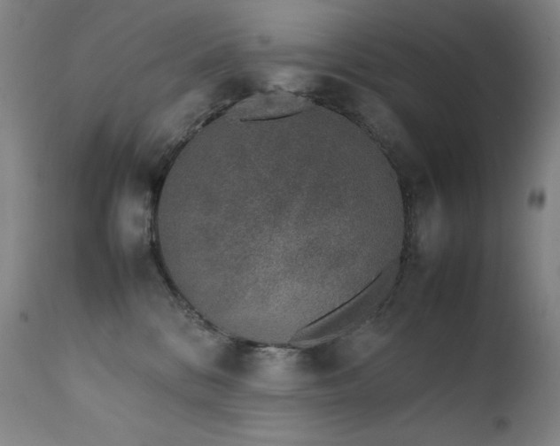 X0000111660328200907171616