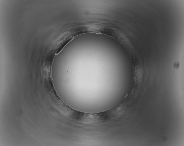 X0000111660329200907171616