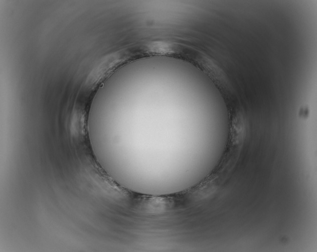 X0000111660330200907171616