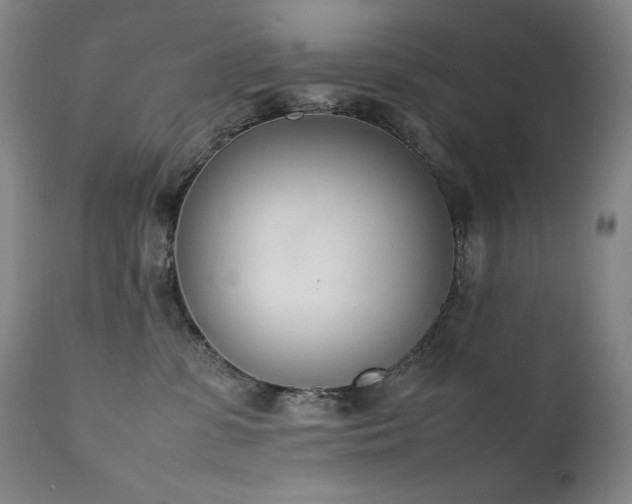 X0000111660331200907171616