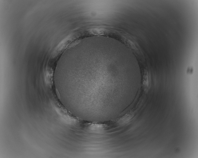 X0000111660332200907171616