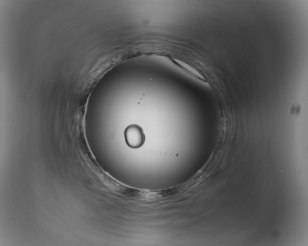 X0000111660333200907171616