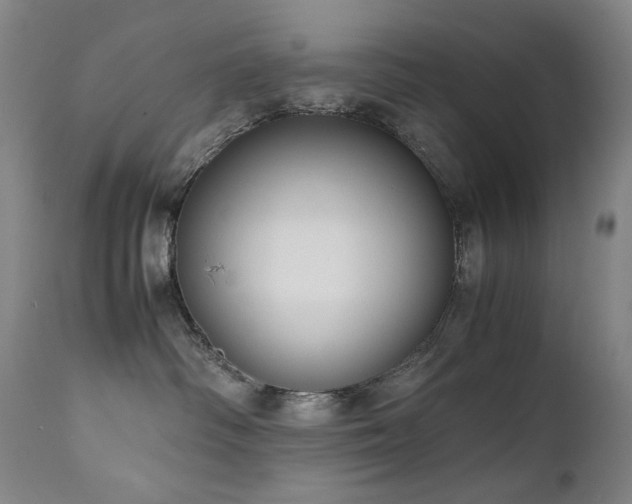 X0000111660334200907171616