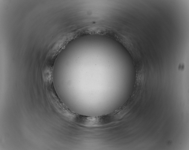 X0000111660335200907171616