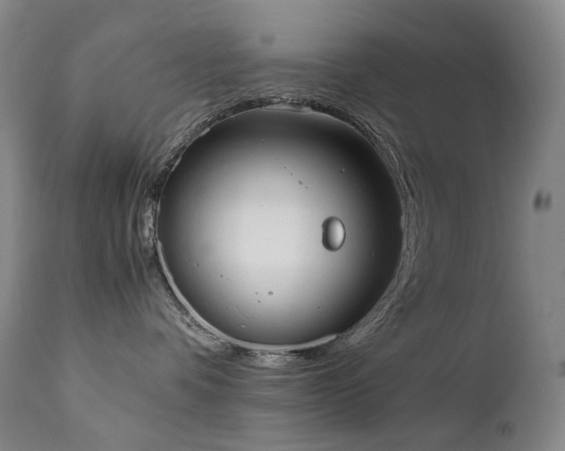 X0000111660336200907171616