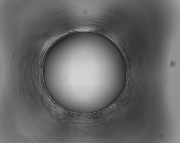 X0000111660337200907171615