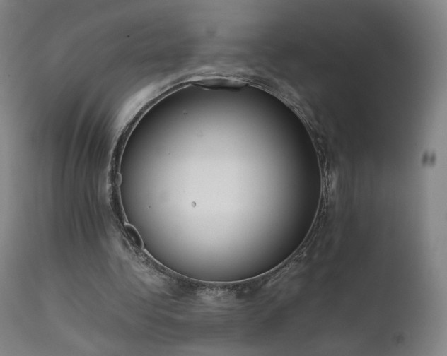 X0000111660340200907171615