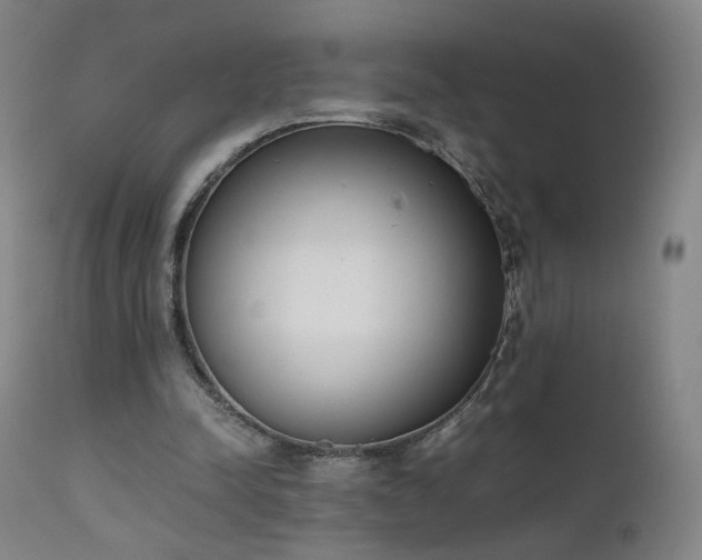 X0000111660342200907171615