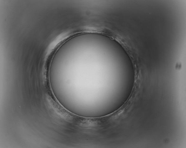 X0000111660343200907171615