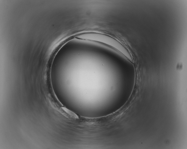 X0000111660344200907171615
